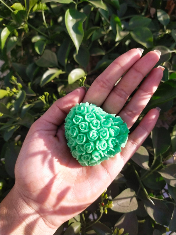 img20230207165047_9e3c1474-effc-49be-9ceb-1076824ef0c4-4x